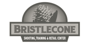 Bristlecone client logo
